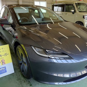 その他・テスラ・モデルS