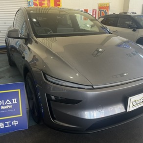 その他・テスラ・モデルY