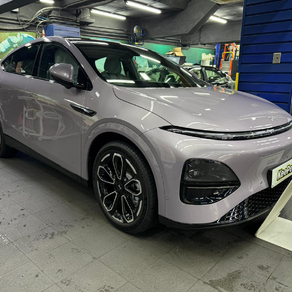 その他・XPENG G6