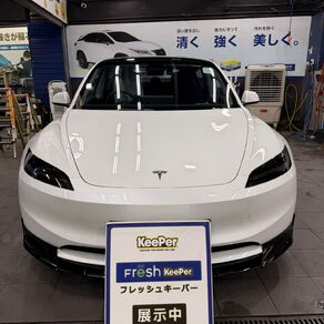 その他・テスラ・モデル３