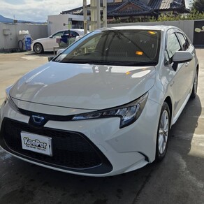 トヨタ・カローラ