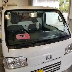 ホンダ・アクティ