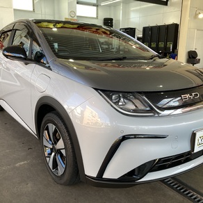 その他・BYD・ドルフィン