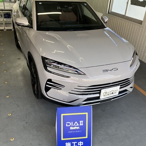 その他・BYD シーライオン6