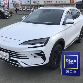 その他・BYD SEA LION6