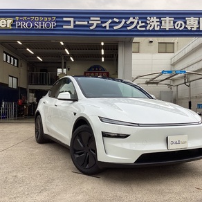 その他・テスラ・モデルY