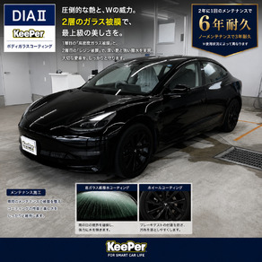 その他・テスラ・モデル３