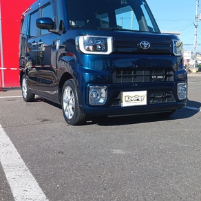 トヨタ・ピクシス メガ