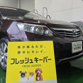 トヨタ・アリオン