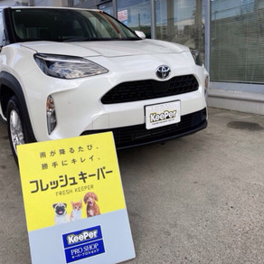 トヨタ・ヤリスクロス