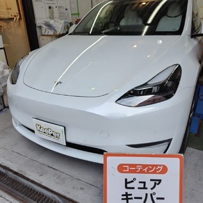 その他・テスラ・モデル３