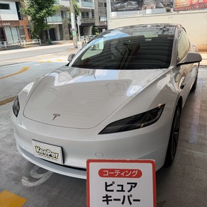 その他・テスラ・モデル３