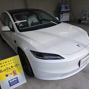 その他・テスラ・モデル３