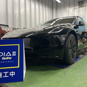 その他・テスラ・モデル３