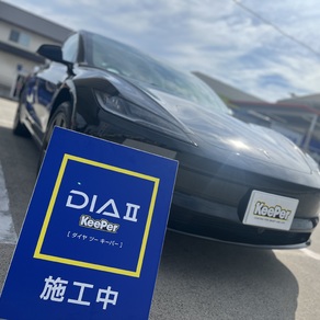 その他・テスラ・モデル３