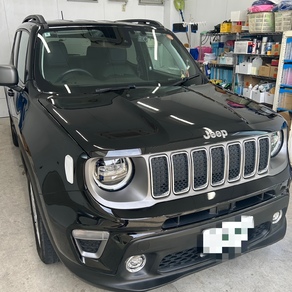 その他・レネゲート