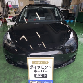 その他・テスラ・モデル３