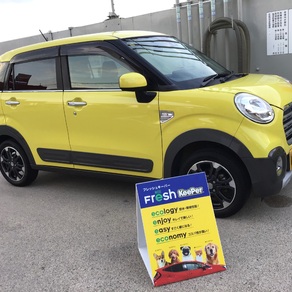 ダイハツ・キャスト