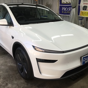 その他・テスラ・モデルY