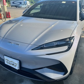 その他・シーライオン