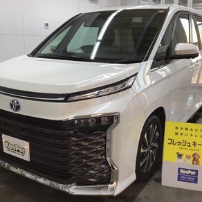 トヨタ・ヴォクシー