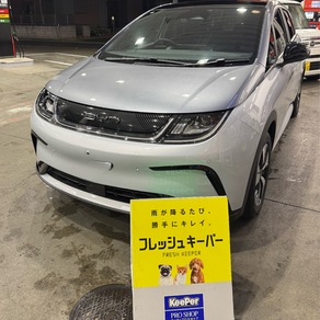 その他・ドルフィン