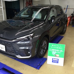 レクサス・レクサス