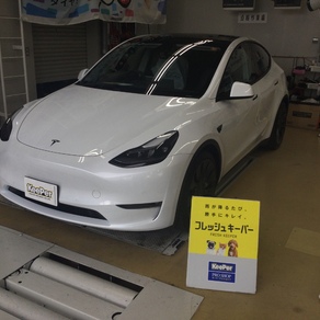 その他・テスラ・モデルY