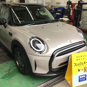 BMW・MINI