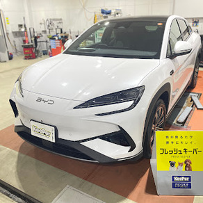 その他・ＢＹＤ　SEALION 7