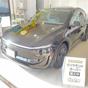 その他・テスラ・モデルY