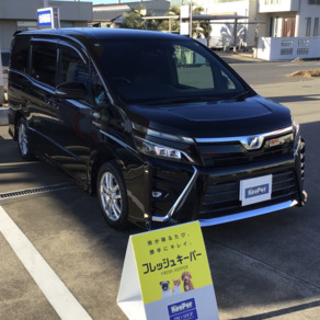 トヨタ・ヴォクシー