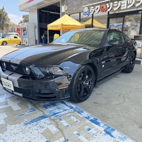 その他・マスタング