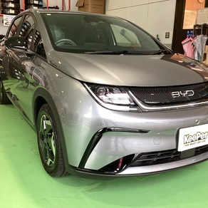 その他・BYD ドルフィン