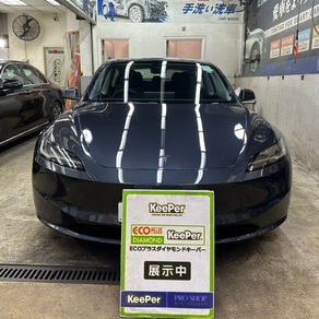 その他・テスラ・モデル３