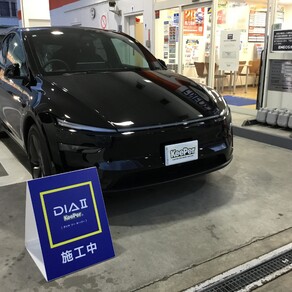 その他・テスラ・モデルY