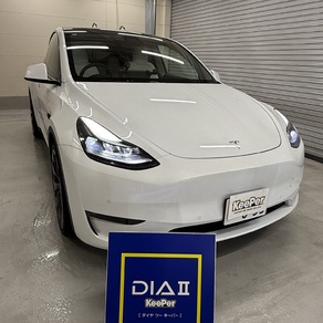 その他・テスラ・モデルY