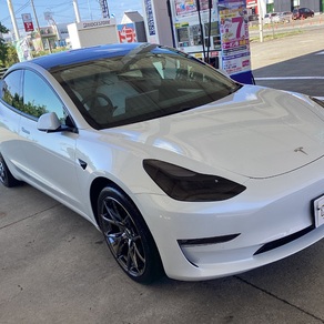 その他・テスラ・モデル３