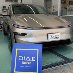 その他・テスラ・モデルYL