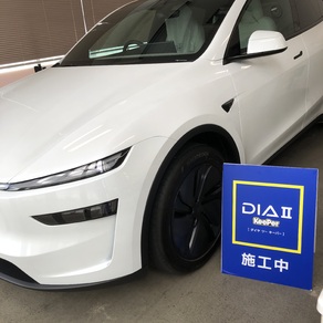 その他・テスラ・モデルY