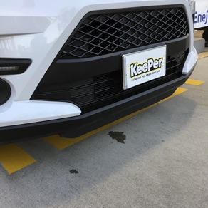 トヨタ・ライズ