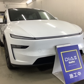 その他・テスラ・モデルY