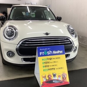 その他・MINIヴィクトリア