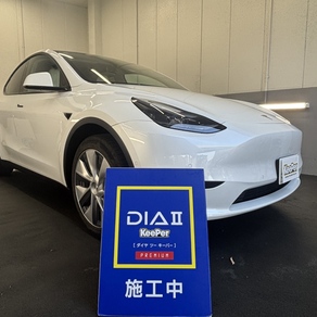 その他・テスラ・モデルY