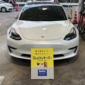 その他・テスラ・モデル３