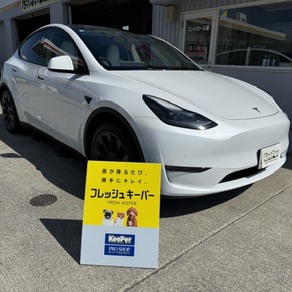 その他・テスラ・モデルY