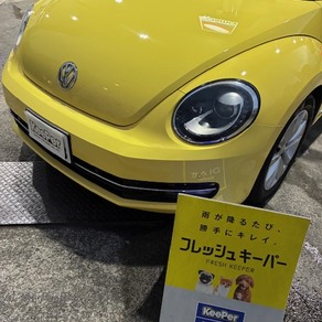 フォルクスワーゲン・ザ・ビートル