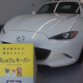 マツダ・ロードスター