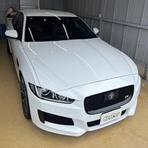 ジャガー・ピュア