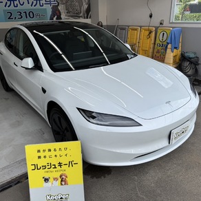 その他・テスラ・モデル３